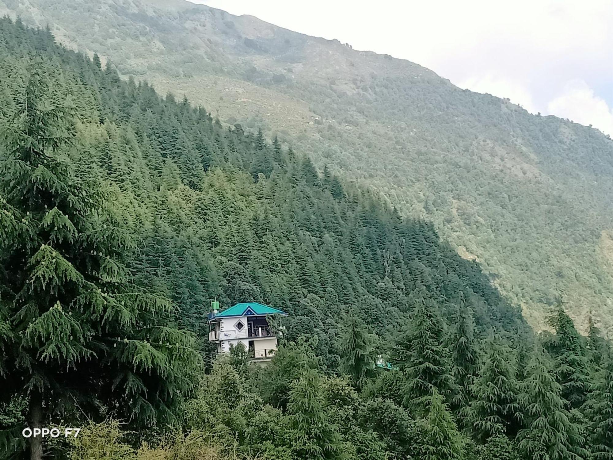Oasis Guest House Bhagsu D'Shala Dharamshala Exterior foto